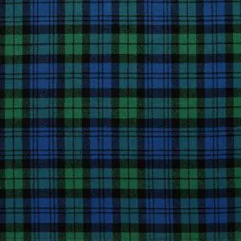 Campbell Ancient Tartan Neck Tie