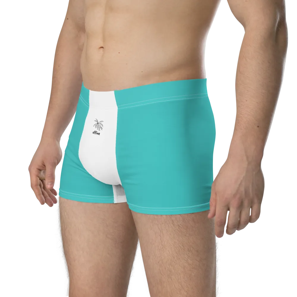 Essence Comfort Men's Mint Boxer Briefs