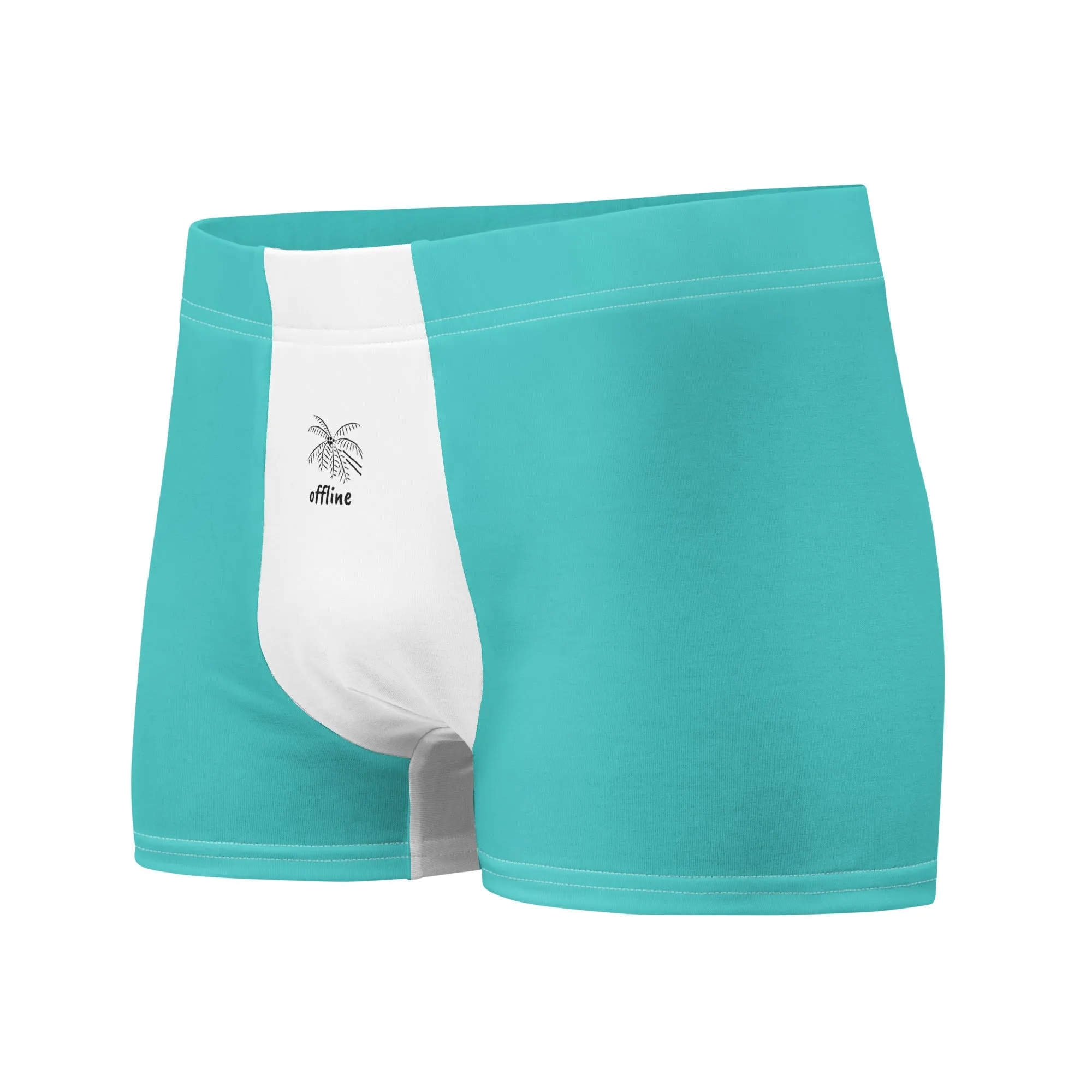 Essence Comfort Men's Mint Boxer Briefs