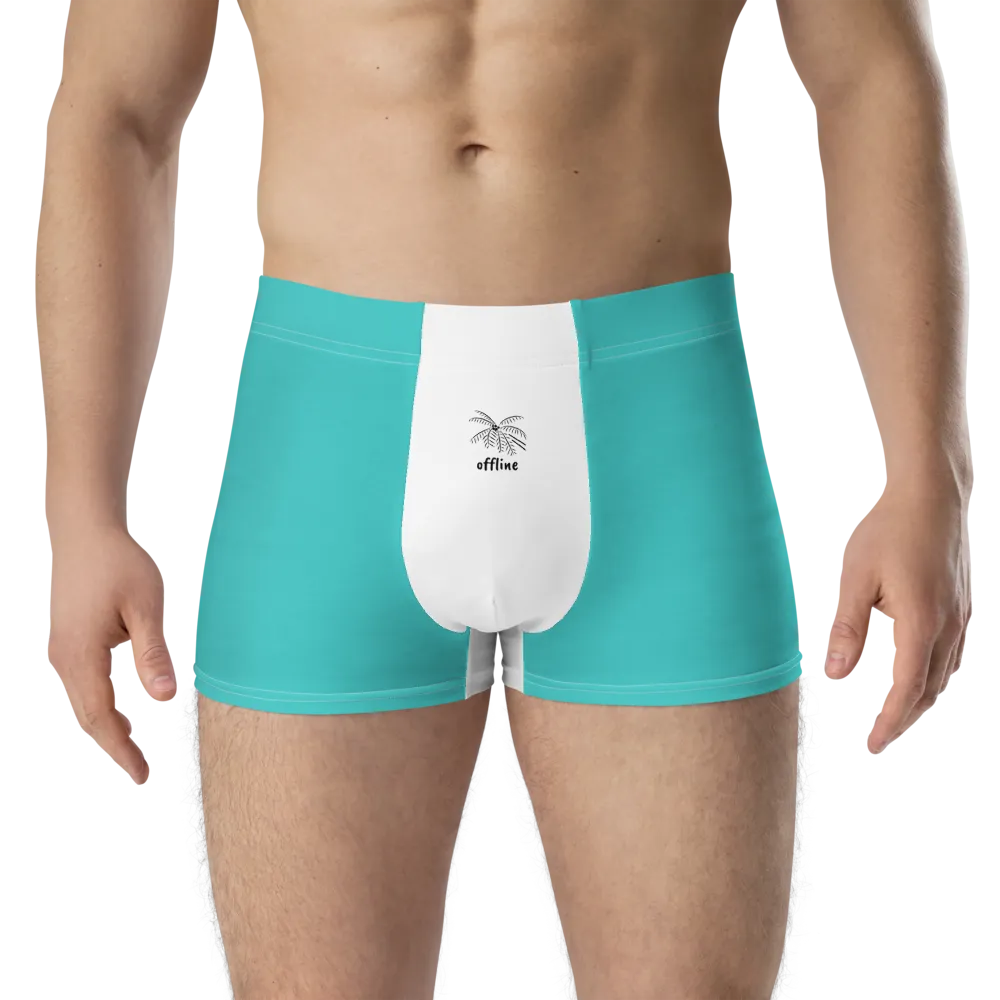 Essence Comfort Men's Mint Boxer Briefs