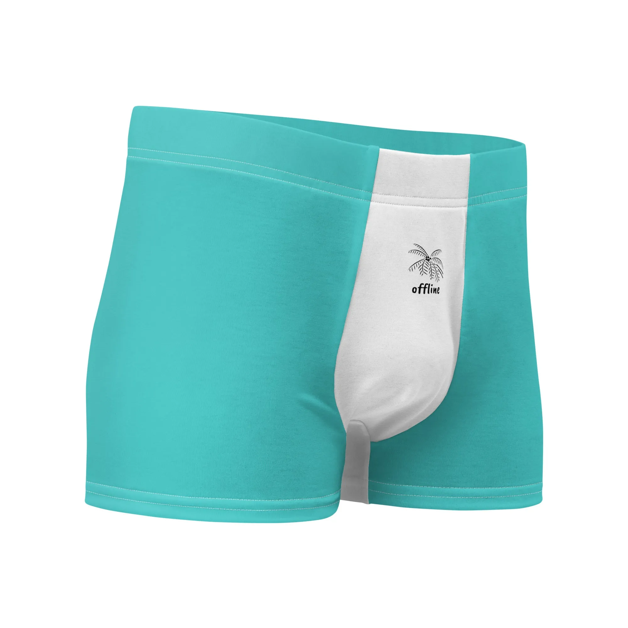 Essence Comfort Men's Mint Boxer Briefs