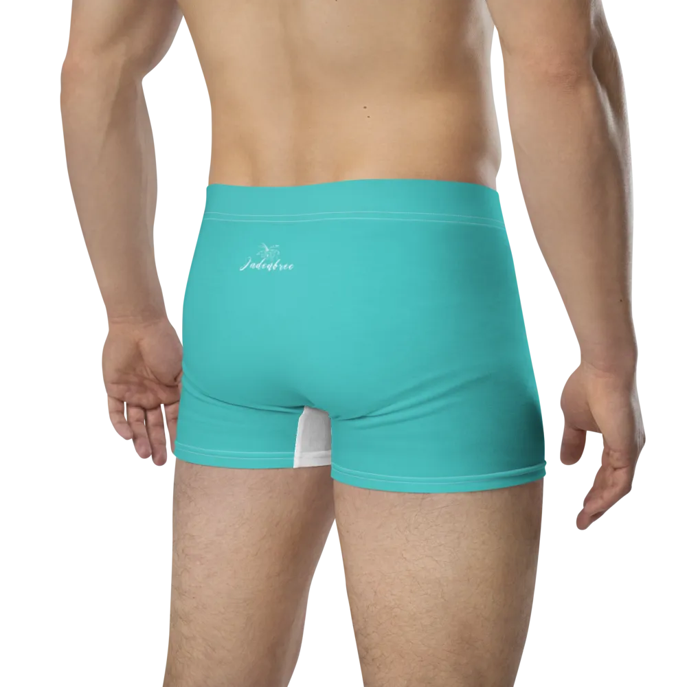 Essence Comfort Men's Mint Boxer Briefs