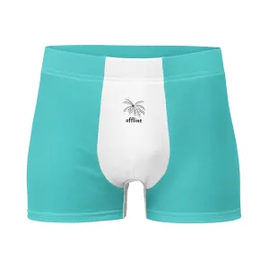 Essence Comfort Men's Mint Boxer Briefs
