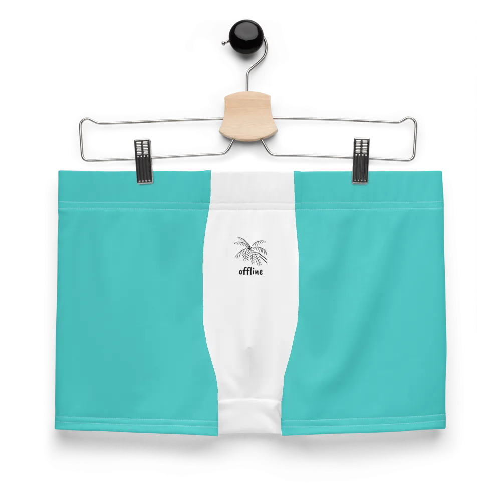 Essence Comfort Men's Mint Boxer Briefs