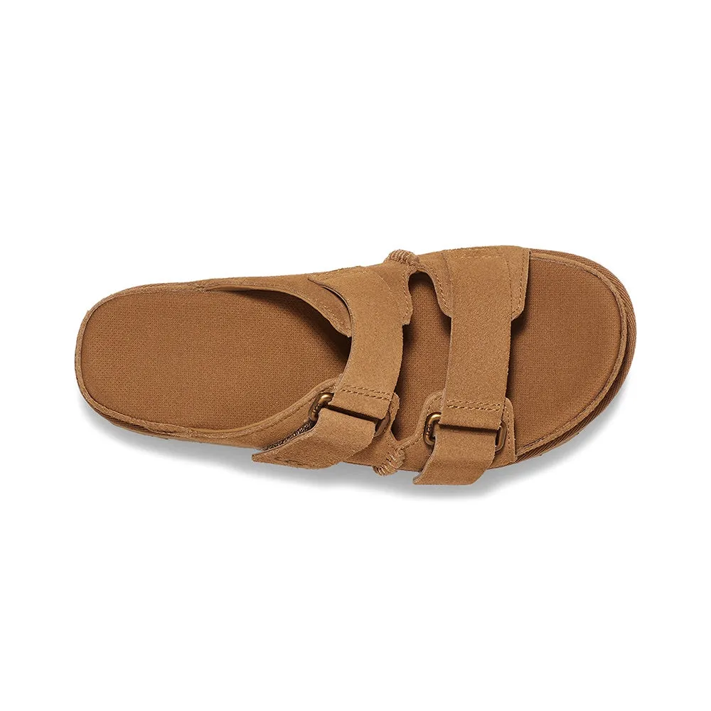 Goldenstar Hi Slide (Chestnut)