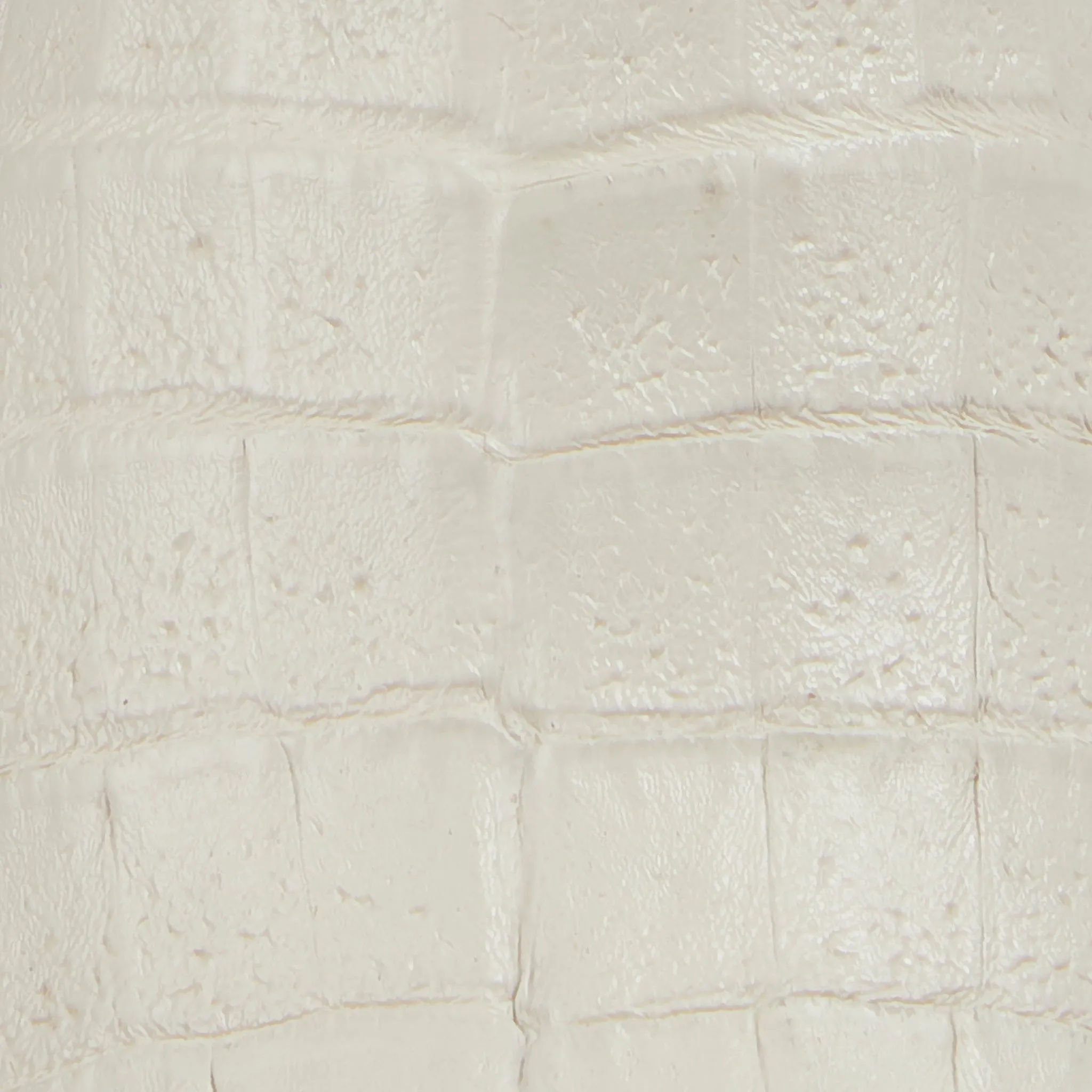 Kim Exotic :: Cream