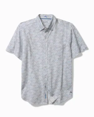 SAN LUCIO TRI LEAF TOP