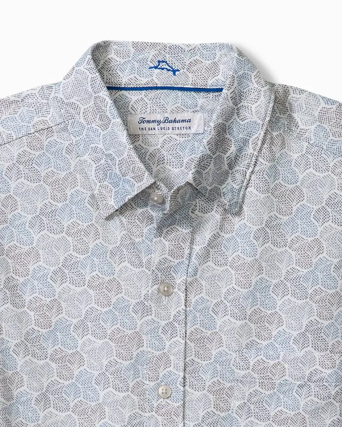 SAN LUCIO TRI LEAF TOP