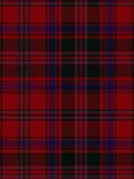 Stewart of Appin Modern Tartan Neck Tie